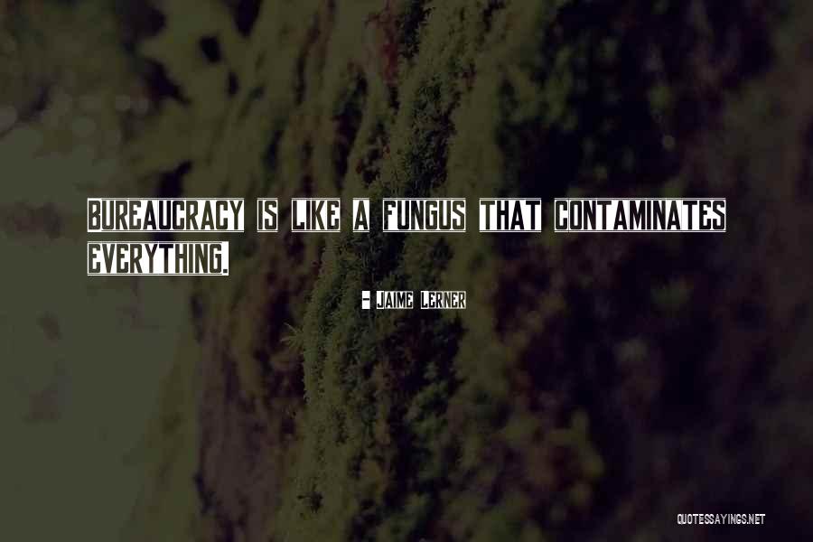 Weasleys Shop Quotes By Jaime Lerner Weasleys Shop Quotes By Jaime Lerner