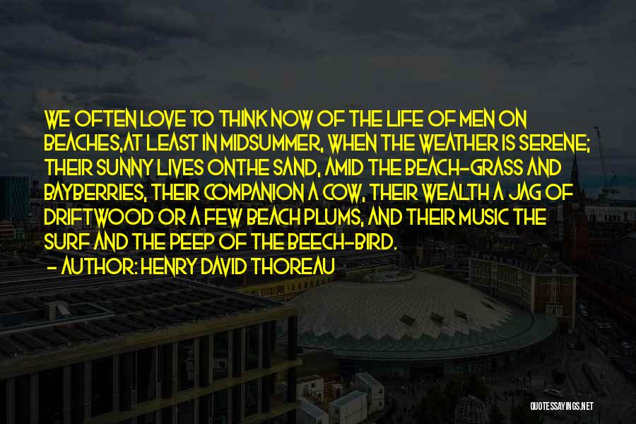 Weather And Love Quotes By Henry David Thoreau