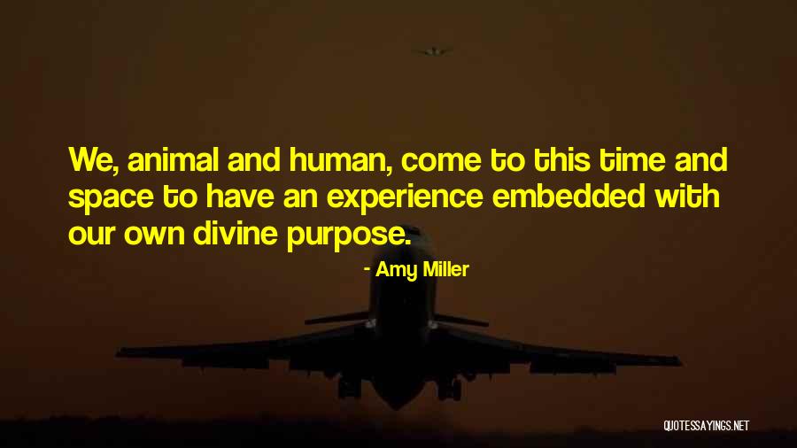 Weather Bell Quotes By Amy Miller Weather Bell Quotes By Amy Miller