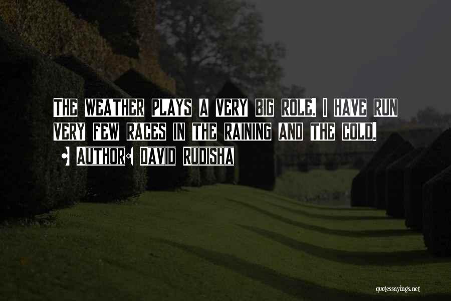 Weather Cold Quotes By David Rudisha