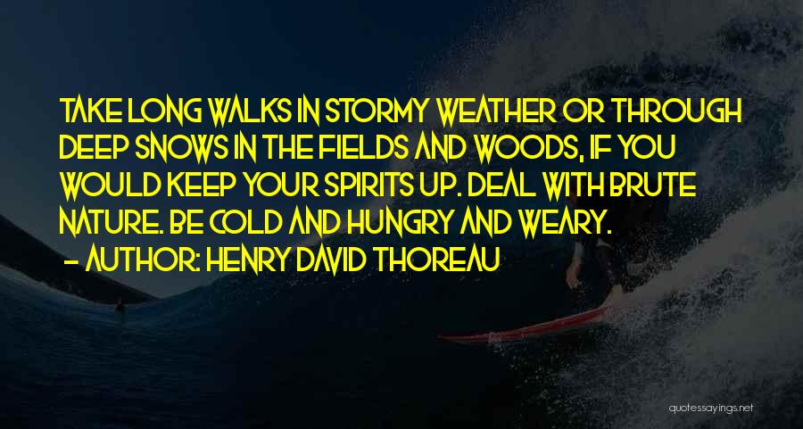 Weather Cold Quotes By Henry David Thoreau