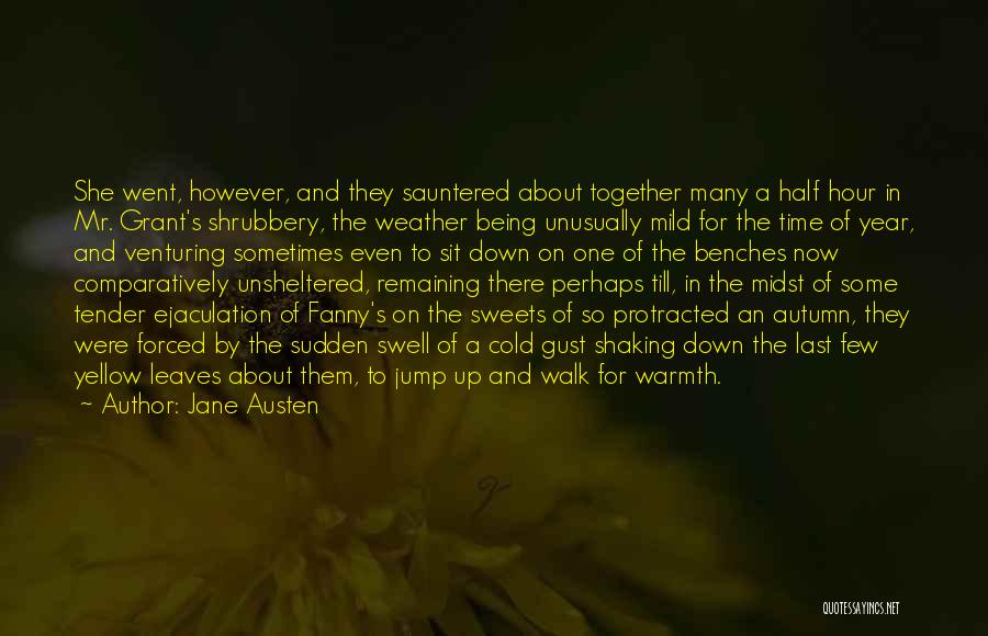 Weather Cold Quotes By Jane Austen