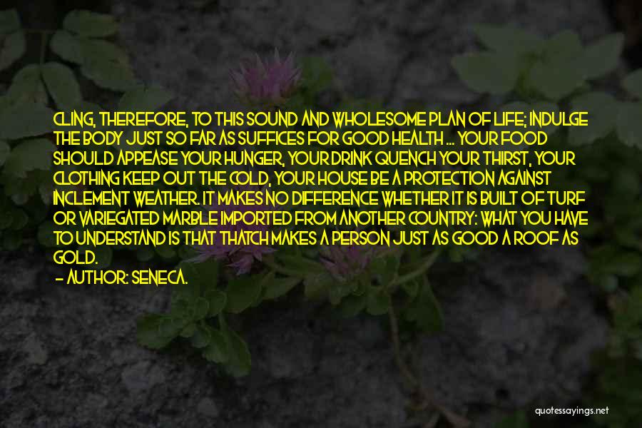 Weather Cold Quotes By Seneca.