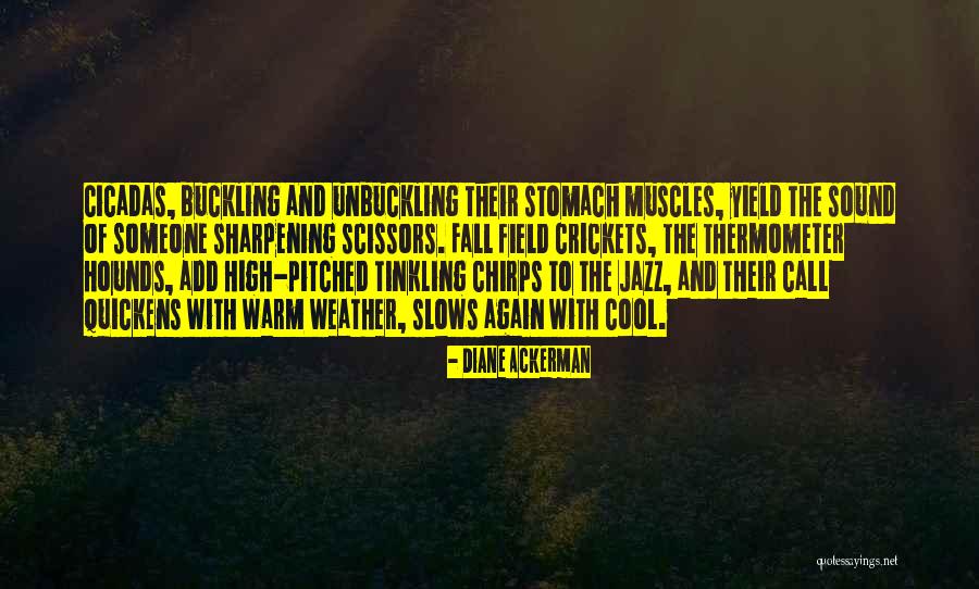 Weather Cool Quotes By Diane Ackerman Weather Cool Quotes By Diane Ackerman