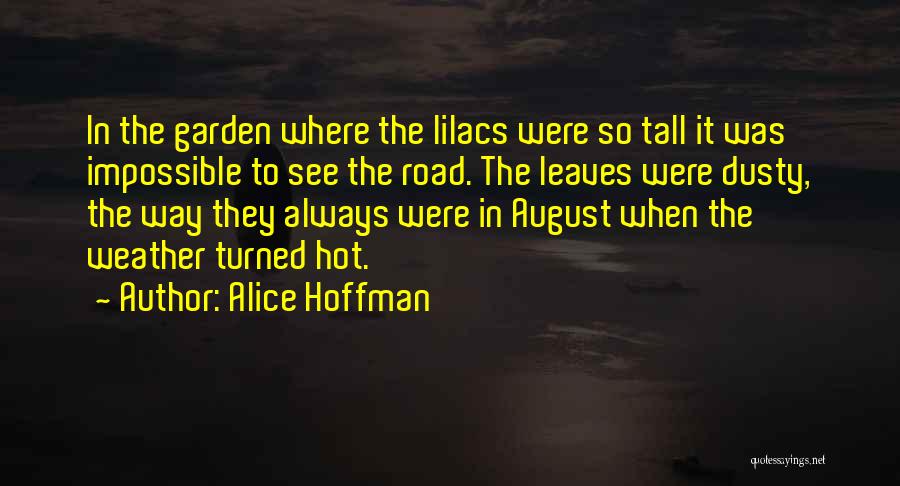 Weather Hot Quotes By Alice Hoffman