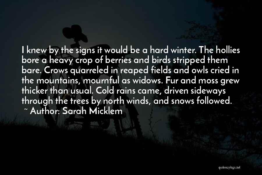 Weather Predictions Quotes By Sarah Micklem