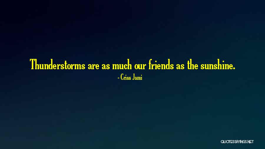 Weather The Storm Quotes By Criss Jami Weather The Storm Quotes By Criss Jami