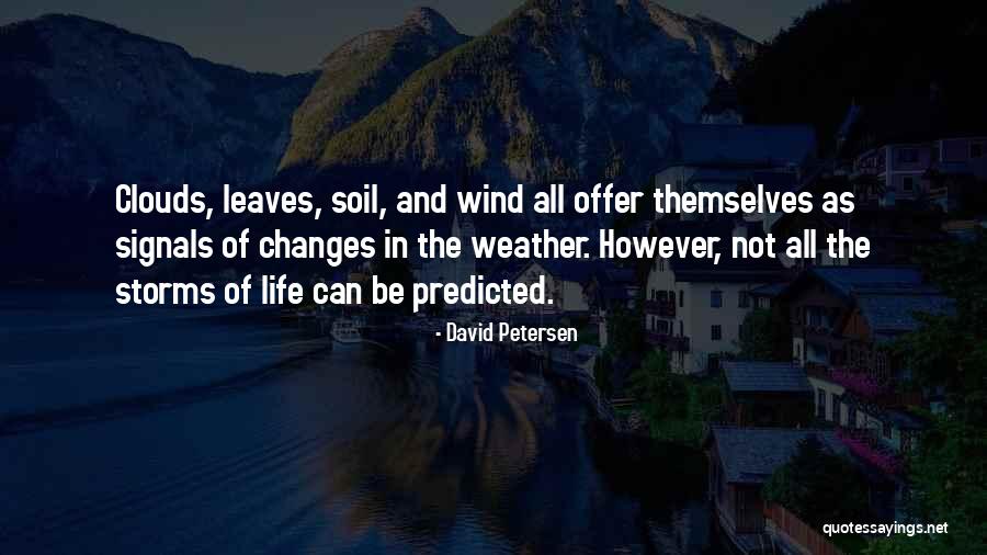 Weather The Storm Quotes By David Petersen Weather The Storm Quotes By David Petersen