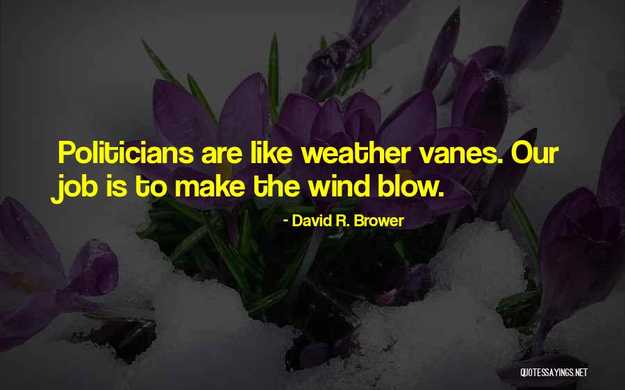 Weather Vanes Quotes By David R. Brower Weather Vanes Quotes By David R. Brower