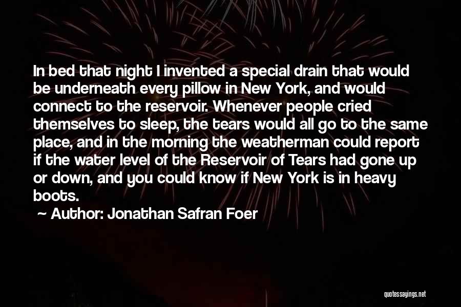 Weatherman Quotes By Jonathan Safran Foer