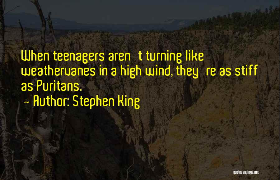 Weathervanes Quotes By Stephen King