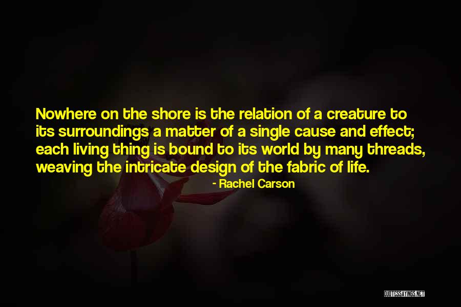 Weaving And Life Quotes By Rachel Carson Weaving And Life Quotes By Rachel Carson