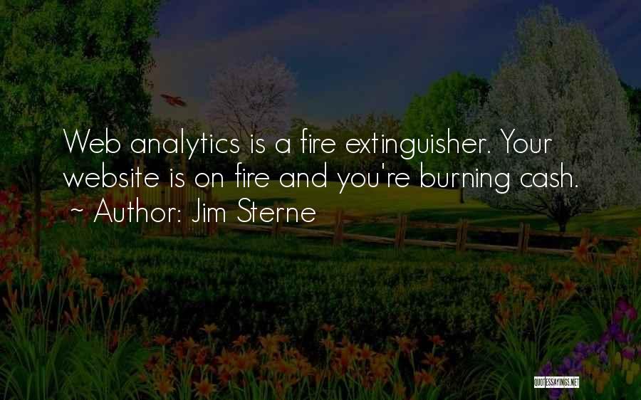 Web Analytics Quotes By Jim Sterne