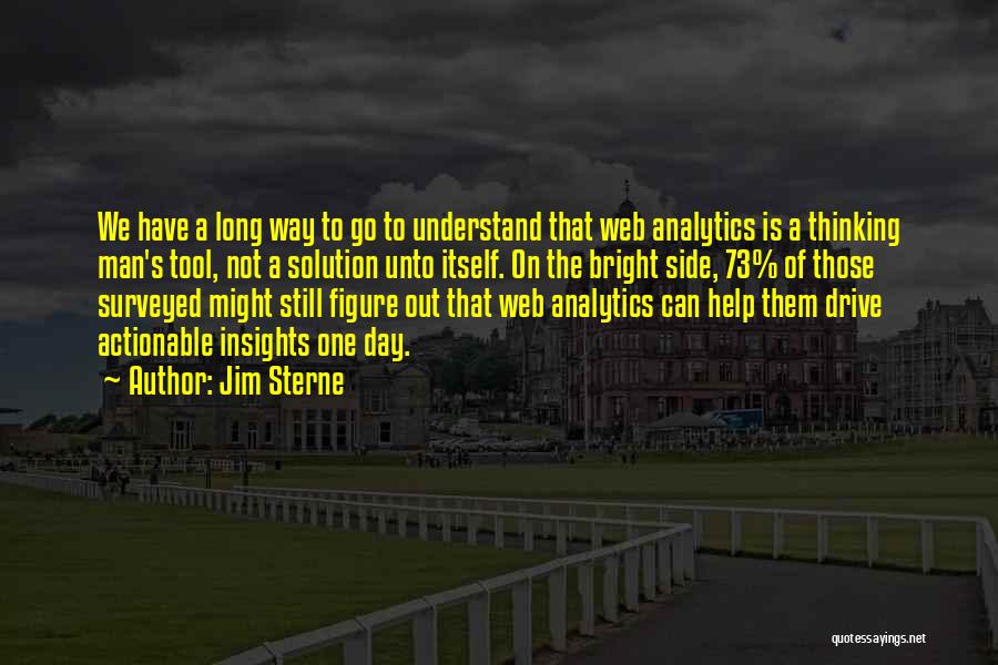 Web Analytics Quotes By Jim Sterne