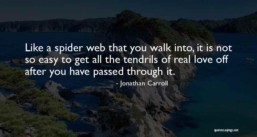 Web Quotes By Jonathan Carroll Web Quotes By Jonathan Carroll