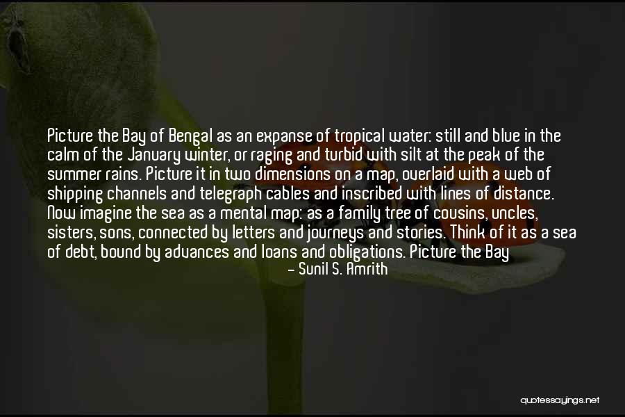 Web Quotes By Sunil S. Amrith Web Quotes By Sunil S. Amrith