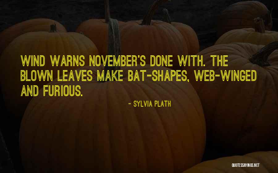 Web Quotes By Sylvia Plath Web Quotes By Sylvia Plath