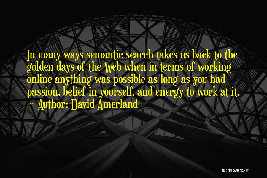 Web Search Quotes By David Amerland