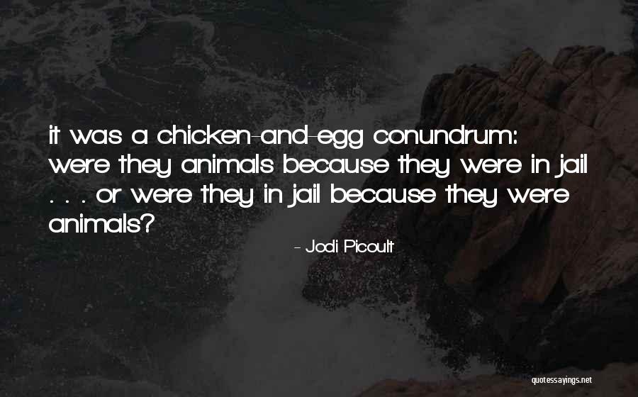 Webchat Flash Quotes By Jodi Picoult Webchat Flash Quotes By Jodi Picoult