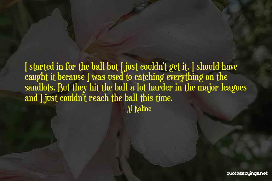 Weblogging Quotes By Al Kaline Weblogging Quotes By Al Kaline