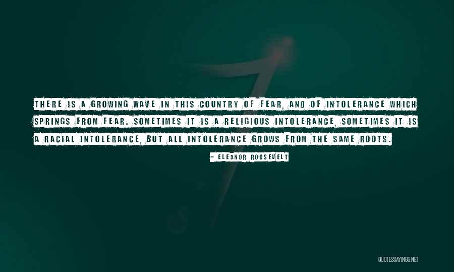 Websters New World Quotes By Eleanor Roosevelt Websters New World Quotes By Eleanor Roosevelt