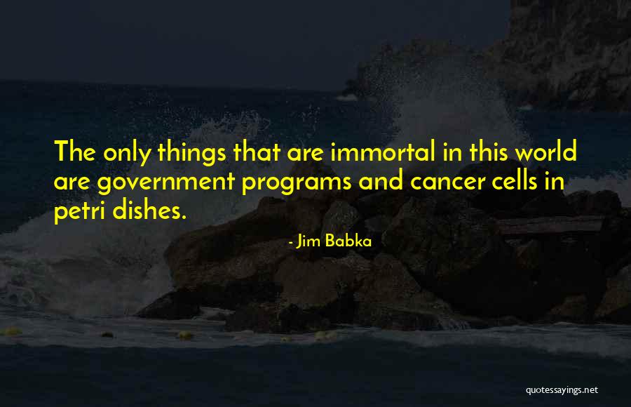 Wechselberger Quotes By Jim Babka Wechselberger Quotes By Jim Babka