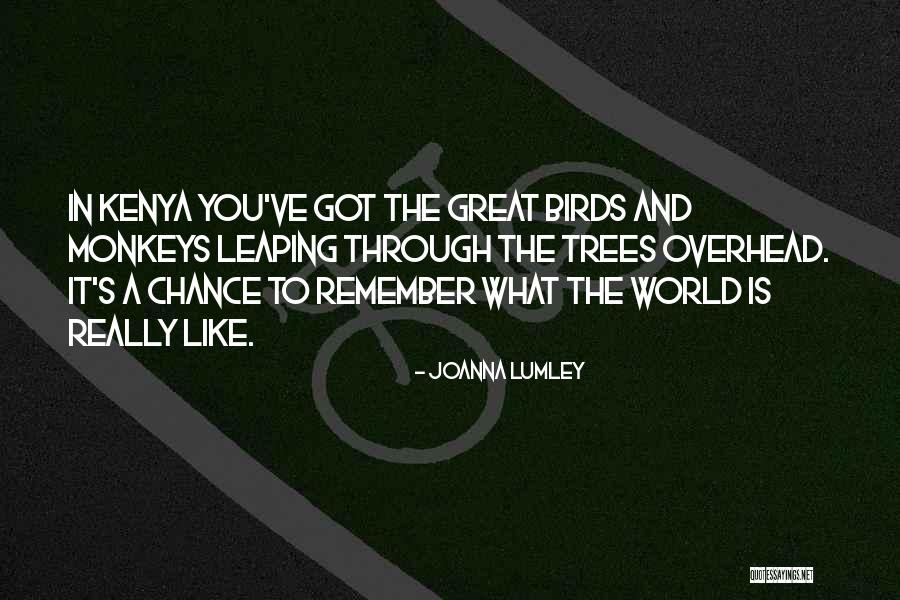 Wedding Car Window Quotes By Joanna Lumley Wedding Car Window Quotes By Joanna Lumley