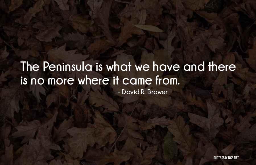Wedding Website Quotes By David R. Brower Wedding Website Quotes By David R. Brower
