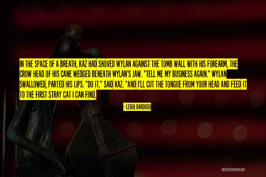 Wedged Quotes By Leigh Bardugo Wedged Quotes By Leigh Bardugo