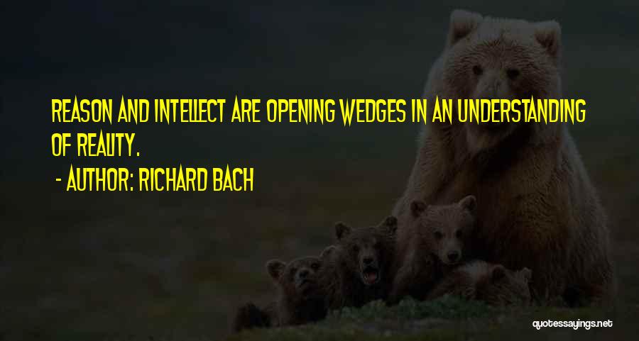 Wedges Quotes By Richard Bach