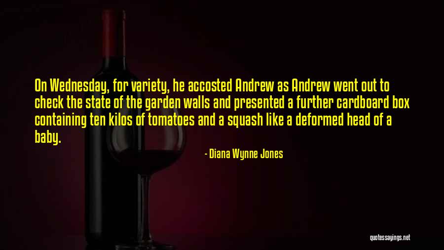Wednesday Quotes By Diana Wynne Jones Wednesday Quotes By Diana Wynne Jones