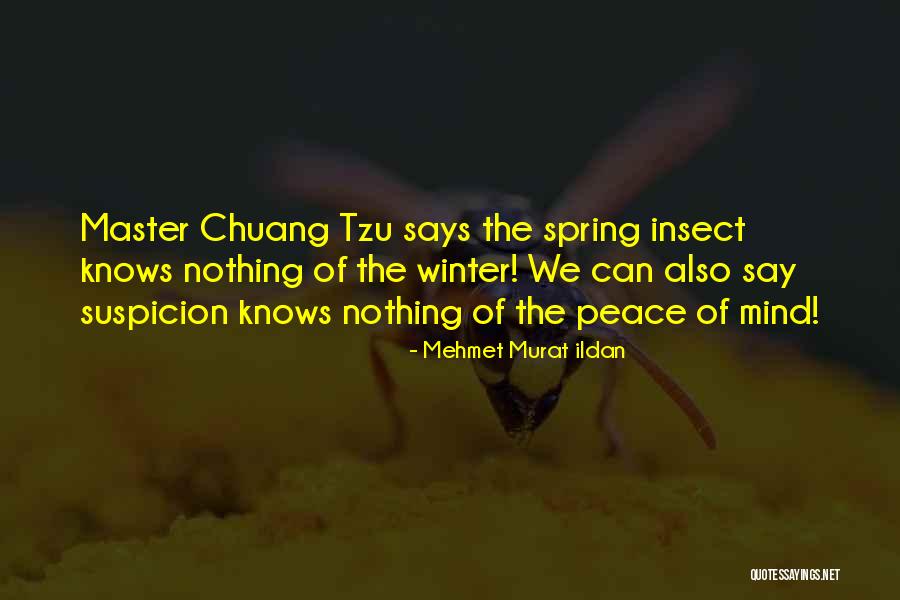 Wedor Corp Quotes By Mehmet Murat Ildan Wedor Corp Quotes By Mehmet Murat Ildan