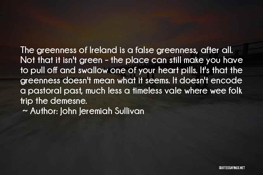 Wee Quotes By John Jeremiah Sullivan