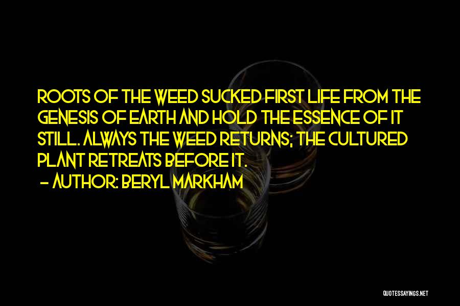 Weed And Life Quotes By Beryl Markham