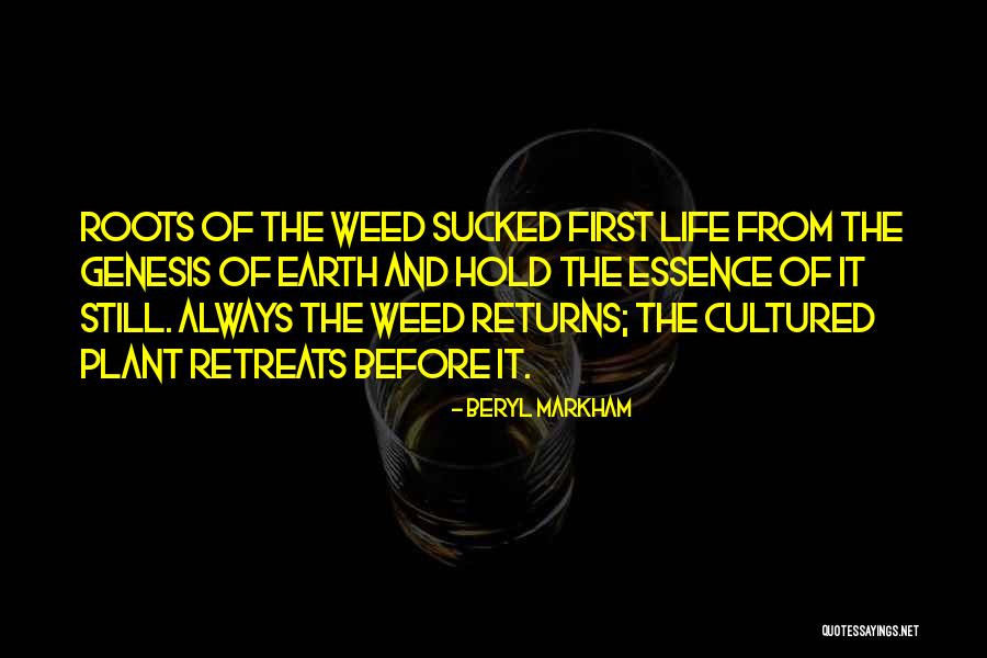 Weed And Life Quotes By Beryl Markham