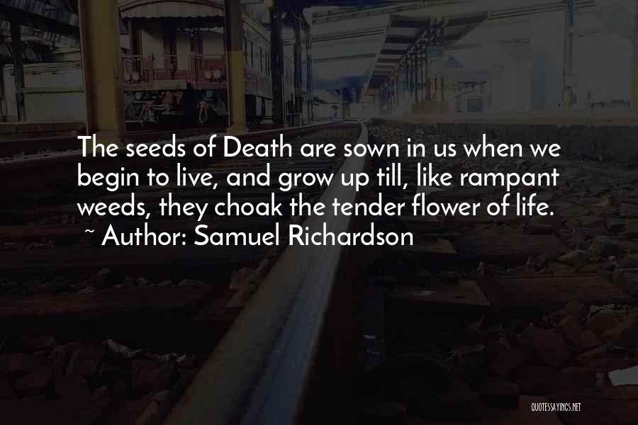 Weed And Life Quotes By Samuel Richardson