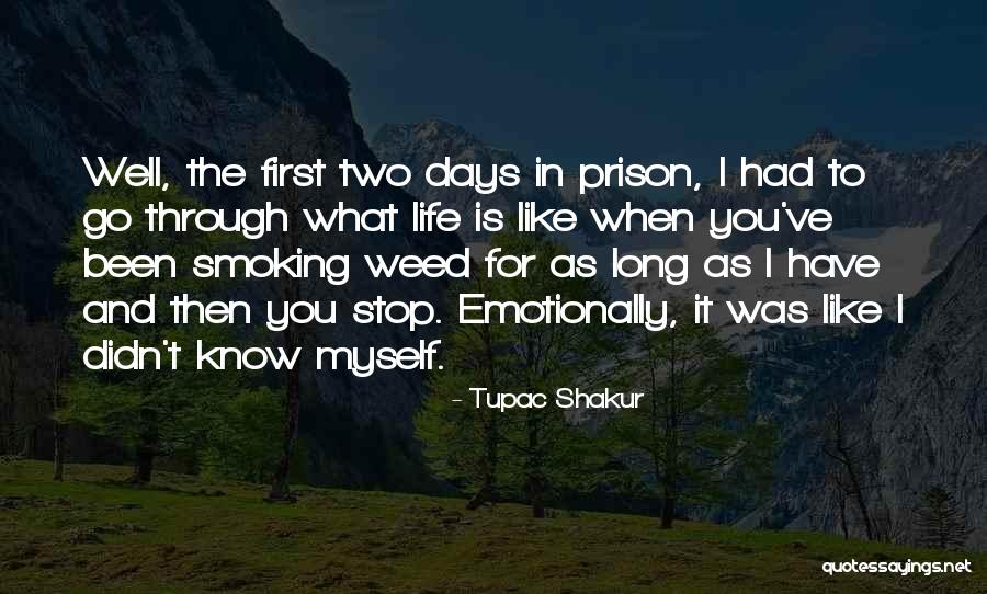 Weed And Life Quotes By Tupac Shakur