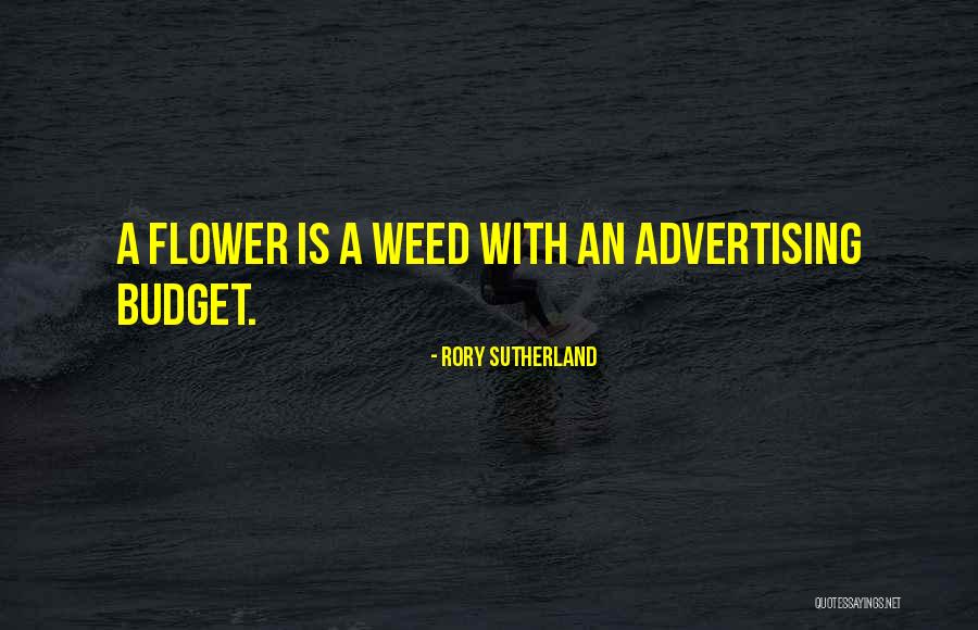 Weed Humor Quotes By Rory Sutherland