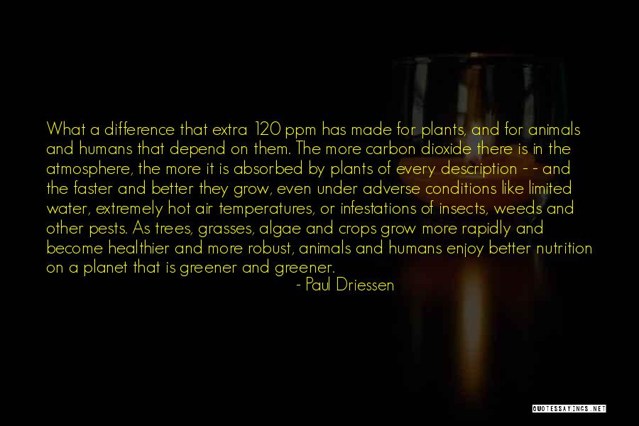 Weed Plants Quotes By Paul Driessen Weed Plants Quotes By Paul Driessen