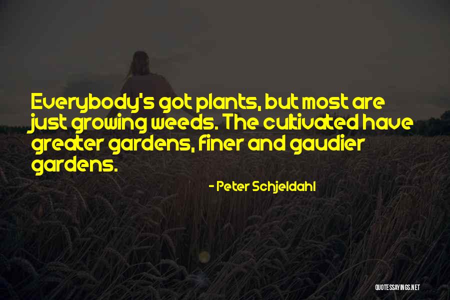 Weed Plants Quotes By Peter Schjeldahl Weed Plants Quotes By Peter Schjeldahl