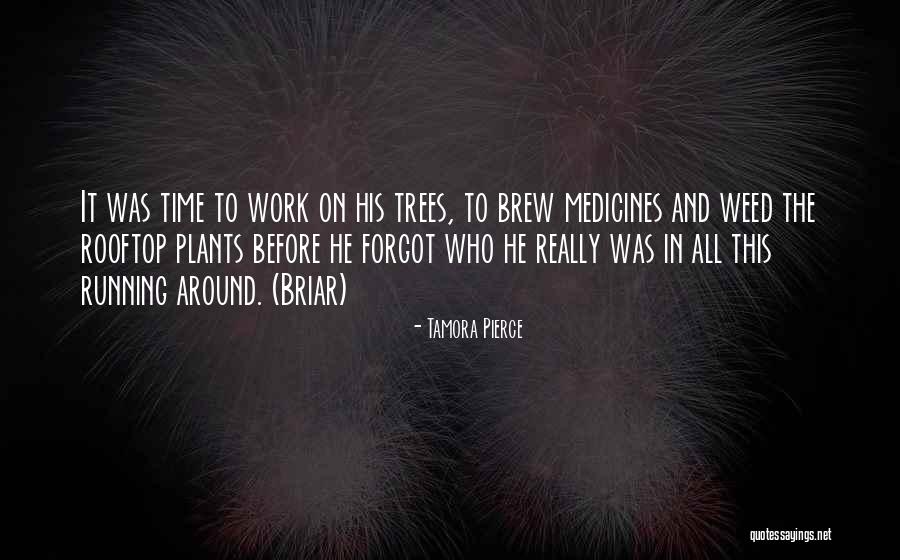 Weed Plants Quotes By Tamora Pierce Weed Plants Quotes By Tamora Pierce