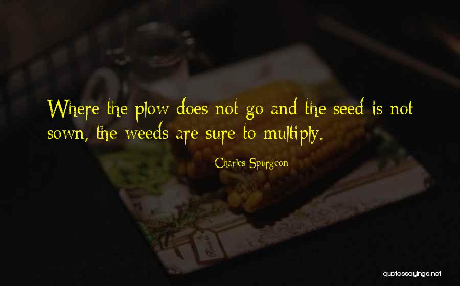 Weed Seed Quotes By Charles Spurgeon Weed Seed Quotes By Charles Spurgeon