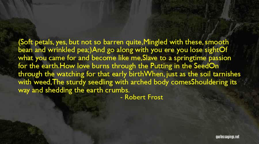 Weed Seed Quotes By Robert Frost Weed Seed Quotes By Robert Frost