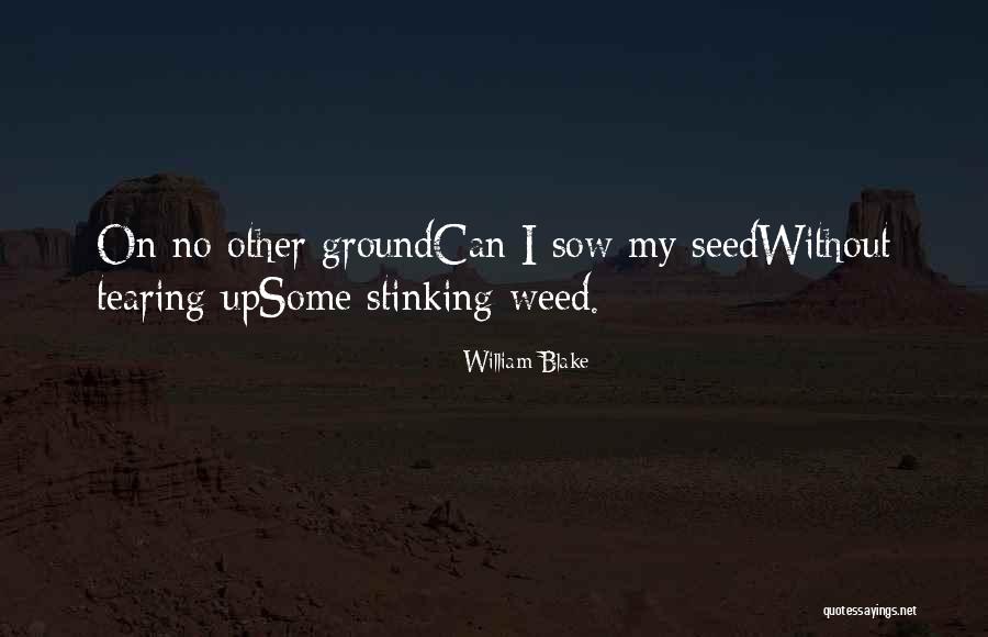 Weed Seed Quotes By William Blake Weed Seed Quotes By William Blake