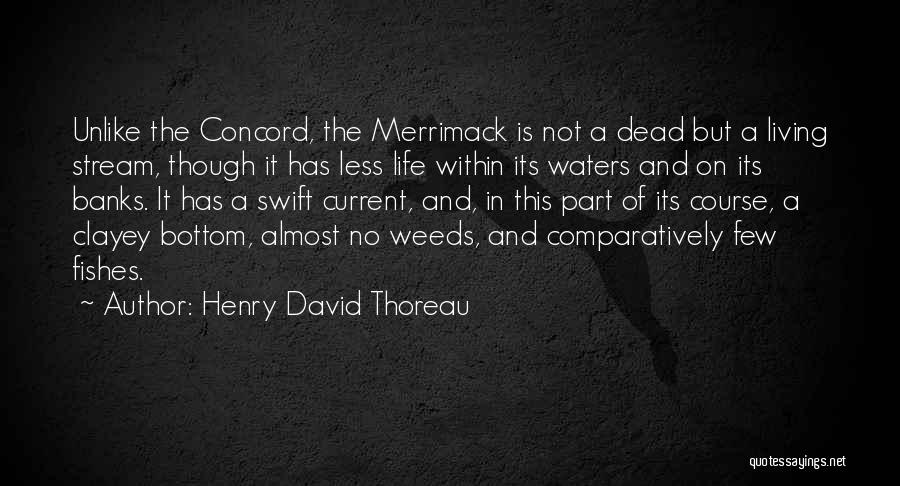 Weeds And Life Quotes By Henry David Thoreau