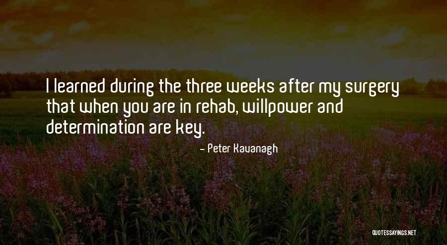 Weeks Quotes By Peter Kavanagh