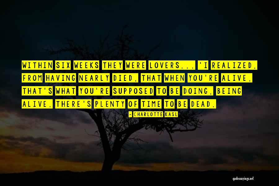 Wehrum Excavating Quotes By Charlotte Kasl Wehrum Excavating Quotes By Charlotte Kasl