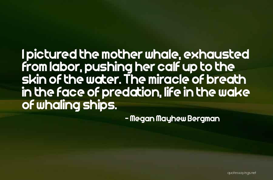 Weidenbach Tax Quotes By Megan Mayhew Bergman Weidenbach Tax Quotes By Megan Mayhew Bergman