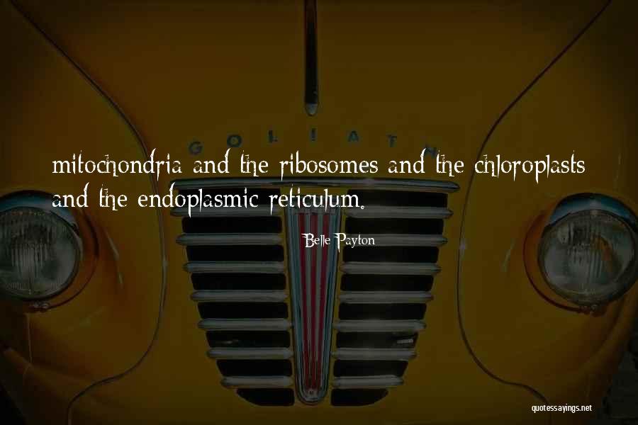 Weidler Double Lift Quotes By Belle Payton Weidler Double Lift Quotes By Belle Payton