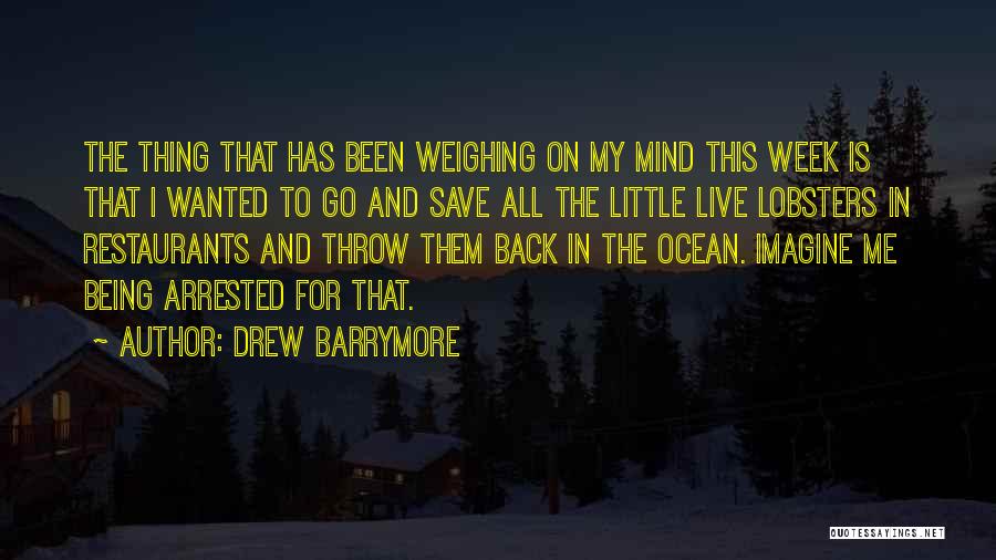 Weighing Things Quotes By Drew Barrymore